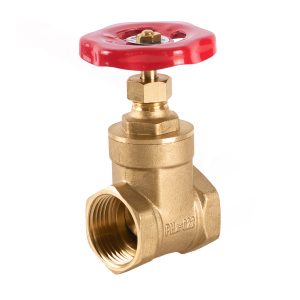 ՓԱԿԱՆ ԲՐՈՆԶԵ 1/2″-4″ PHA-022